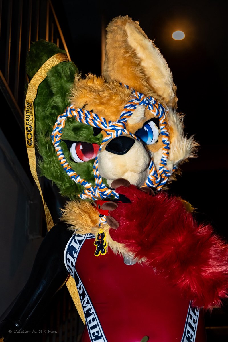 js_latelier's tweet photo. yes, I noticed you looking π
no, you donβt have to stop π€
πΈ @hurxhurx
#SqueakySunday #ShinySunday
#FursuitEveryday #LVFC2026 https://t.co/UFNcy1Sa97