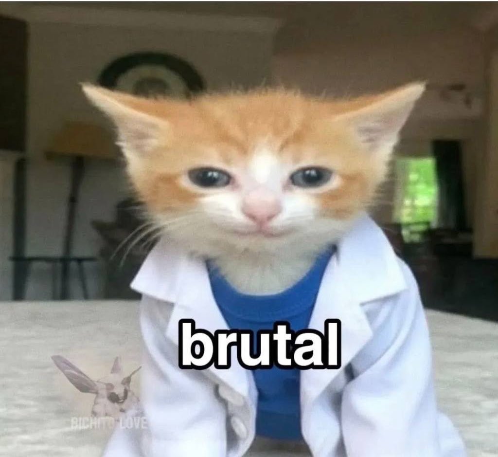 gatinarios's tweet photo. médico: você tem pedra no rim

eu: *como uma folha de papel*

médico: https://t.co/TyaGd0PWem