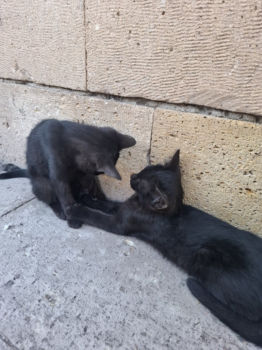 StatCrux_'s tweet photo. Moi et ? et et eh ehehehe... https://t.co/Nl58zrfMN2