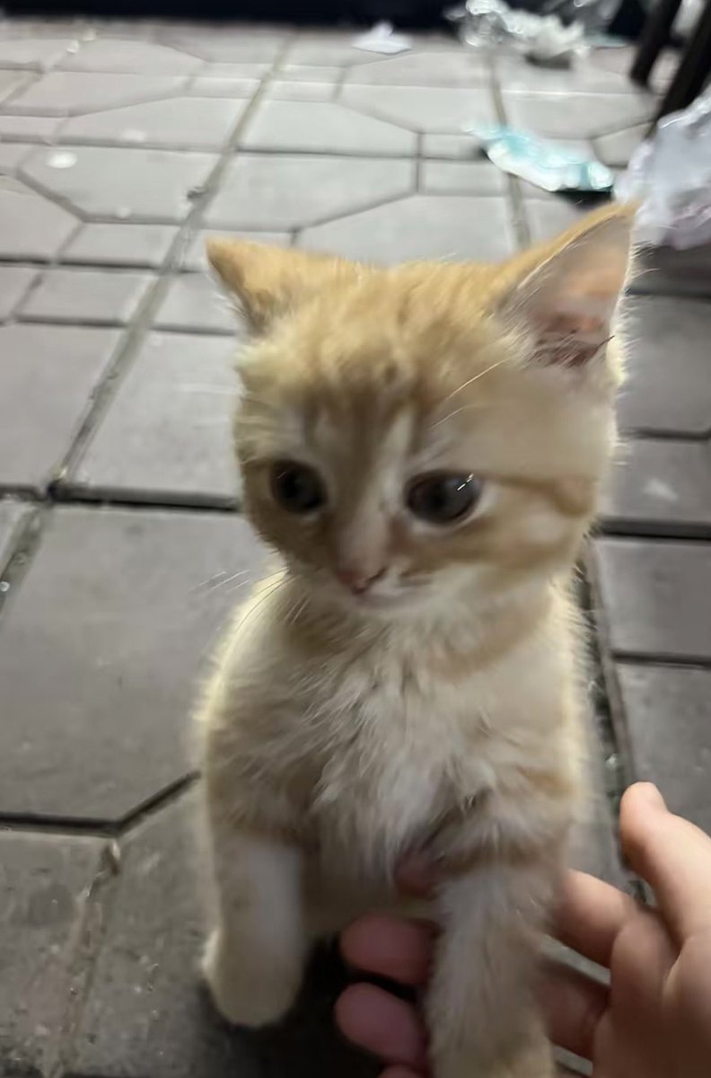 twaniimals's tweet photo. https://t.co/muTkYEHQ6Z