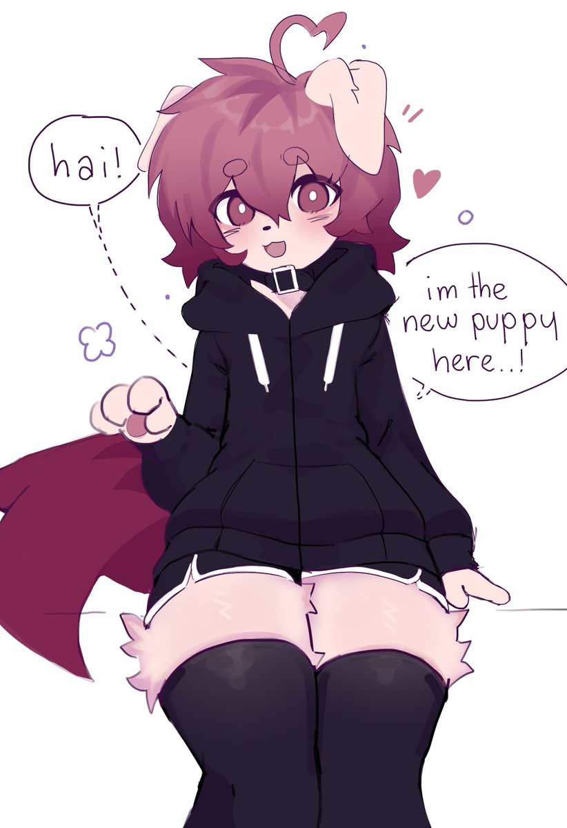 waffyyan's tweet photo. wan wan ˚. 🦴 ᵎᵎ
am new puppy here
hai υ˶˃ ﻌ ˂˶υ https://t.co/kvtYPK2Qe3