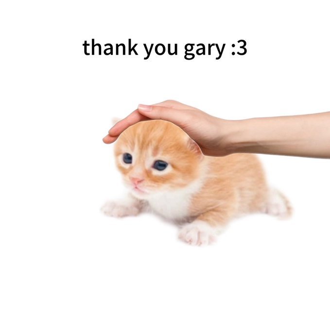 spearvel_'s tweet photo. @thankyougary__ https://t.co/dEwlvf48GF