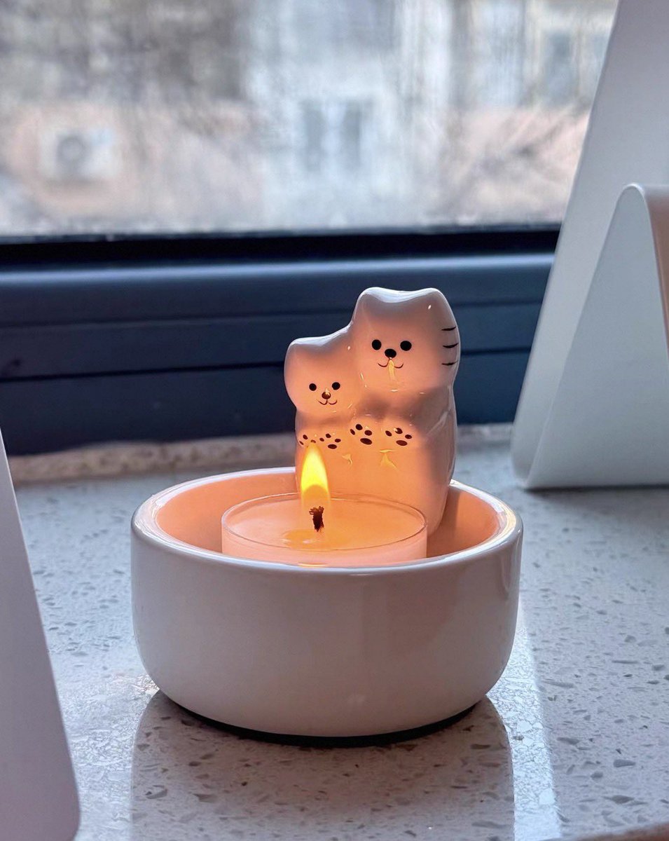 300moods's tweet photo. i’m obsessed with them 🕯️ https://t.co/NYij6qtTv7