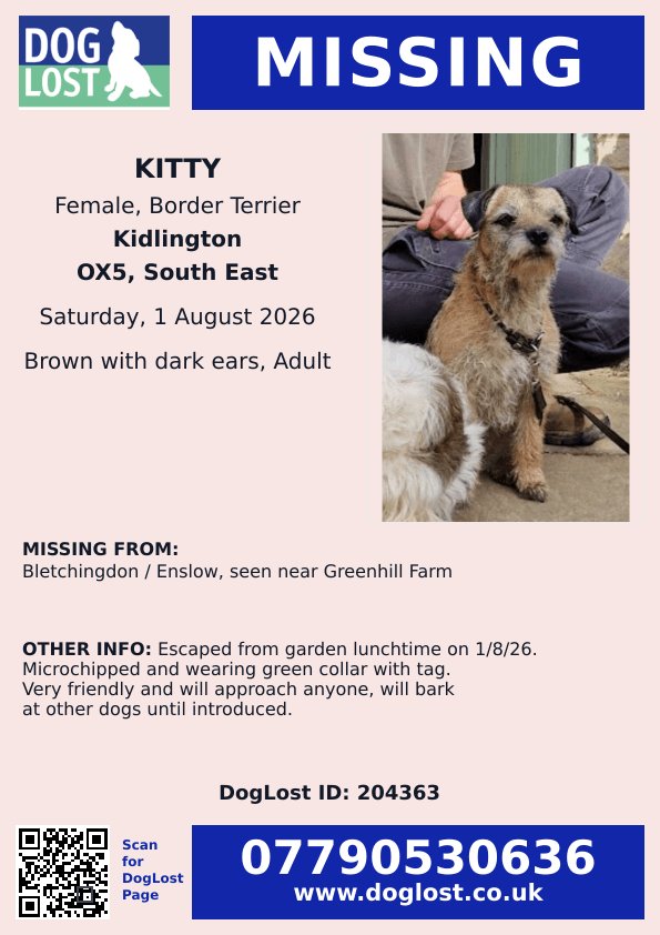 MissingPetsGB's tweet photo. 🐕 #Kidlington #oxfordshire #OX5

#MISSING #BORDERTERRIER KITTY escaped from her garden
in Cherwell OX5 on 1 August 2026

KITTY is 8 years old and wearing a green collar with tag. Please don't chase her if seen🙏 #stolendoghour https://t.co/rwDDm2I7Sn https://t.co/zBnQQkISdU