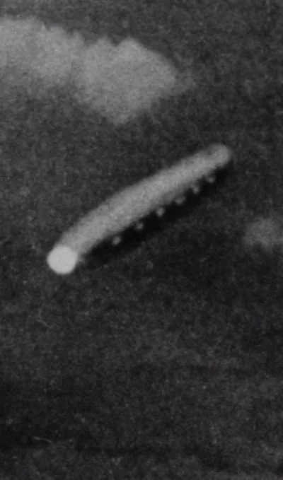 Ovniologia01's tweet photo. Fotografia de 1959 – Projeto Livro Azul

O Projeto Livro Azul alegou que se tratava de "uma foto de um OVNI fabricada opticamente. 'Desenho recortado sobreposto a uma impressão e copiado durante um estudo científico sobre OVNIs.'"

Supostamente, a imagem mostraria uma aeronave real com seis aberturas, como janelas - sem asas, sem cauda, ​​nada. A tripulação teria afirmado que o objeto acompanhou a velocidade da aeronave e então se afastou rapidamente, como um tubarão, mergulhando pelas nuvens… e desapareceu.

A fotografia teria sido tirada de um C-130 que realizava uma patrulha antissubmarino partindo da Base Aérea de Lajes, localizada na Ilha Terceira, no arquipélago dos Açores (Portugal), durante a subida, passando pelos 28.000 pés.