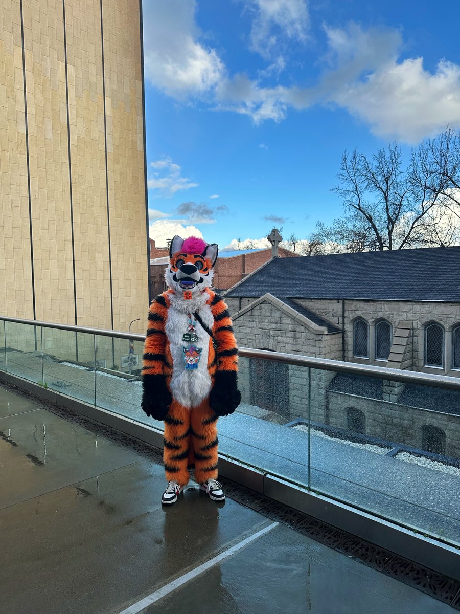 NewtonNoodle's tweet photo. 🐯 https://t.co/KA5Th3Aer7