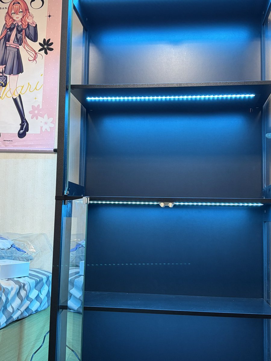 ikaikaR2's tweet photo. 自分への誕プレにグッズ飾る用の棚買いました
昨日父親に手伝ってもらった！ https://t.co/DcXRZsDU4o