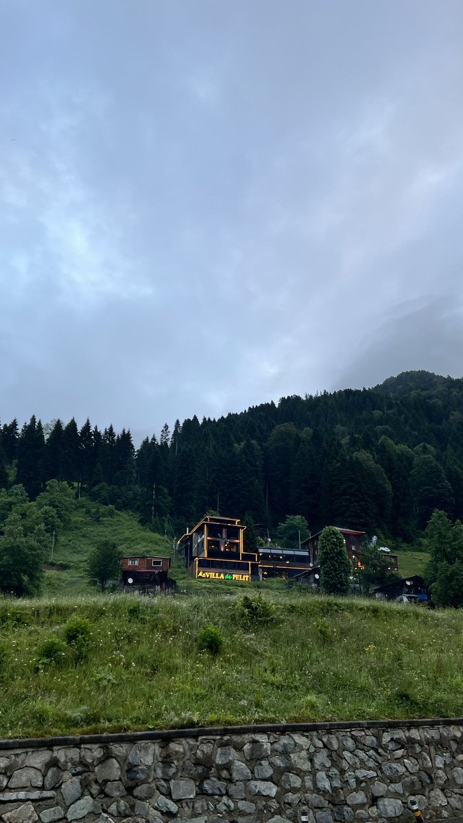 Amjim120's tweet photo. 5.7.2026 🌊🌲 https://t.co/d2ebA4jGq0