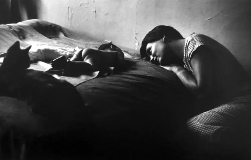 literlandweb1's tweet photo. "Memoria selectiva para recordar lo bueno, prudencia lógica para no arruinar el presente y optimismo desafiante para encarar el futuro".
Isabel Allende
📷Elliott Erwitt https://t.co/q9DSFM1Xjw