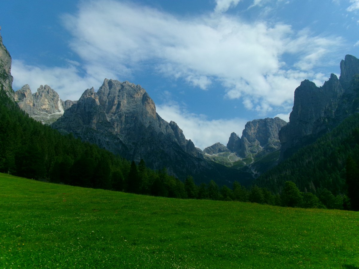 vsc4ls's tweet photo. today's hike results :)
#edtwt #stepsapp https://t.co/BF8VFGIDnk