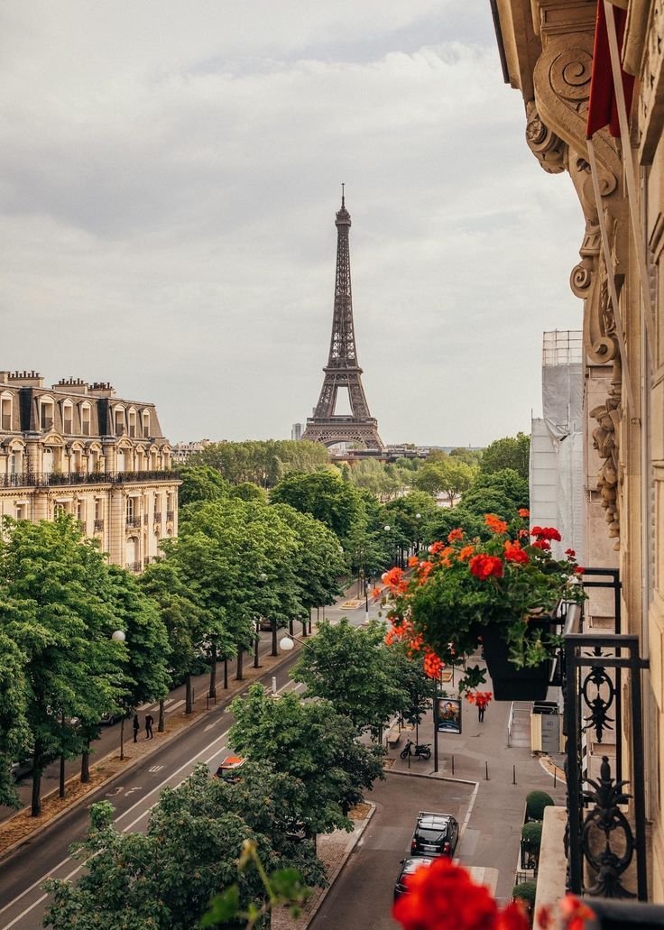 ____flowers__'s tweet photo. Paris, France https://t.co/Q9K2VuqVIg