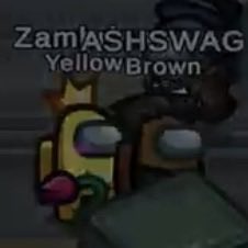 zor4sdomain's tweet photo. aww aww awww #goldengun so cuteeeeeeeee https://t.co/SyY9fiIiDr