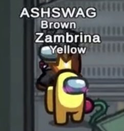 zor4sdomain's tweet photo. aww aww awww #goldengun so cuteeeeeeeee https://t.co/SyY9fiIiDr