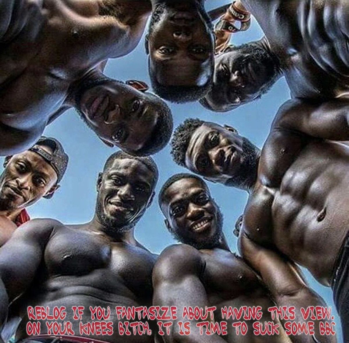 MisterRegalia's tweet photo. BNWO 👑  pigs 🐷 get Hung on Black masters . 
#gay #BDSM #findom #paypig https://t.co/BsJfchgonv