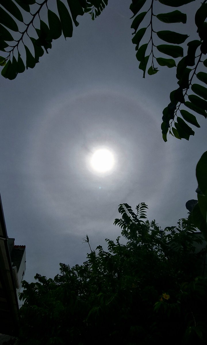 BUSCADOR1373's tweet photo. #mitiempoideam #FelizLunes 2/08/2026, 14:30 h. Doble halo solar visto desde el norte de Barranquilla. @IDEAMColombia
@EdPiotrowski @wilcheschaux @GracianaXXI @rodrimartut @_iclima @TxStormChasers @Meteovargas @AerocivilCol @alcaldiabquilla @HaloSolarMx @capitanclima24 https://t.co/GAzrARD3gW