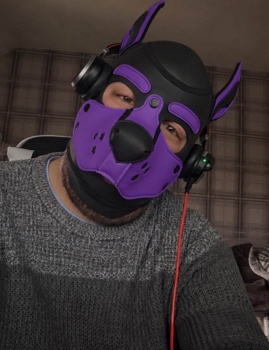 Deej_pup90's tweet photo. Just vibeing 🐾🐾 https://t.co/IXBh6EXd0L