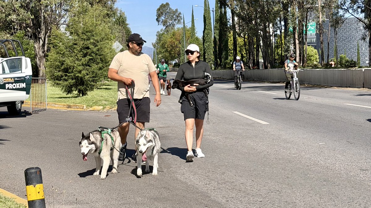 MTGobPue's tweet photo. Concluyó una nueva edición de la Vía Recreativa Metropolitana.🏃‍♀️🚴‍♂️

Cada semana, más poblanas y poblanos, junto con sus mascotas, aprovechan espacio donde las calles se abren para convivir, realizar actividad física y disfrutar de la ciudad.

El @Gob_Puebla, encabezado por el gobernador @armentapuebla_, reafirma su compromiso con acciones que promueven el bienestar y una movilidad más humana.

¡Nos vemos el próximo domingo!

#PorAmorAPuebla