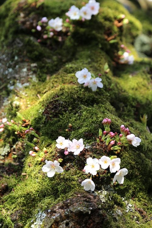 aestheticpost's tweet photo. https://t.co/K2CXgrbCmn