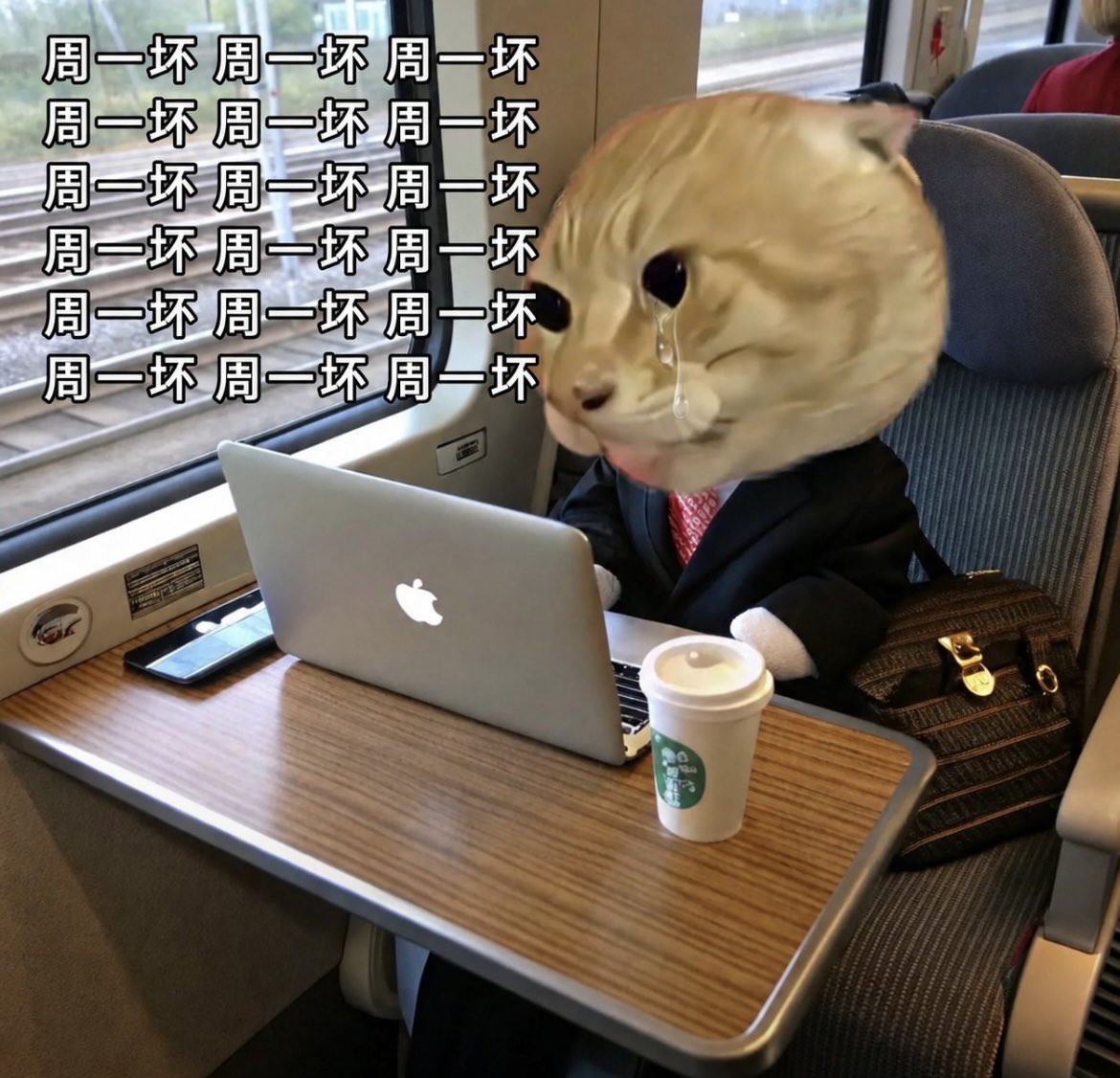 Hajimisoft's tweet photo. 不想睡之周一坏🐱T﹏T🐱 https://t.co/vVSDiDBsl9