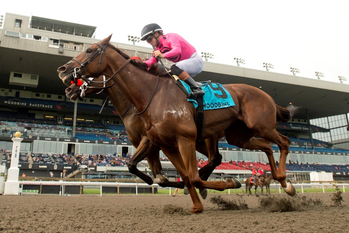 ONTRacing's tweet photo. Congrats to the connections of Ontario-bred Paramount Prince, winner of the $175,000 Grade 3 Seagram Cup on Saturday at @WoodbineTB for breeder Ericka Rusnak, owners Gary Barber and Michael Langlois and trainer @markecasse.
https://t.co/4Y9TyJiNN4
#betontario
Michael Burns photo https://t.co/ZdEmfEqx5Y