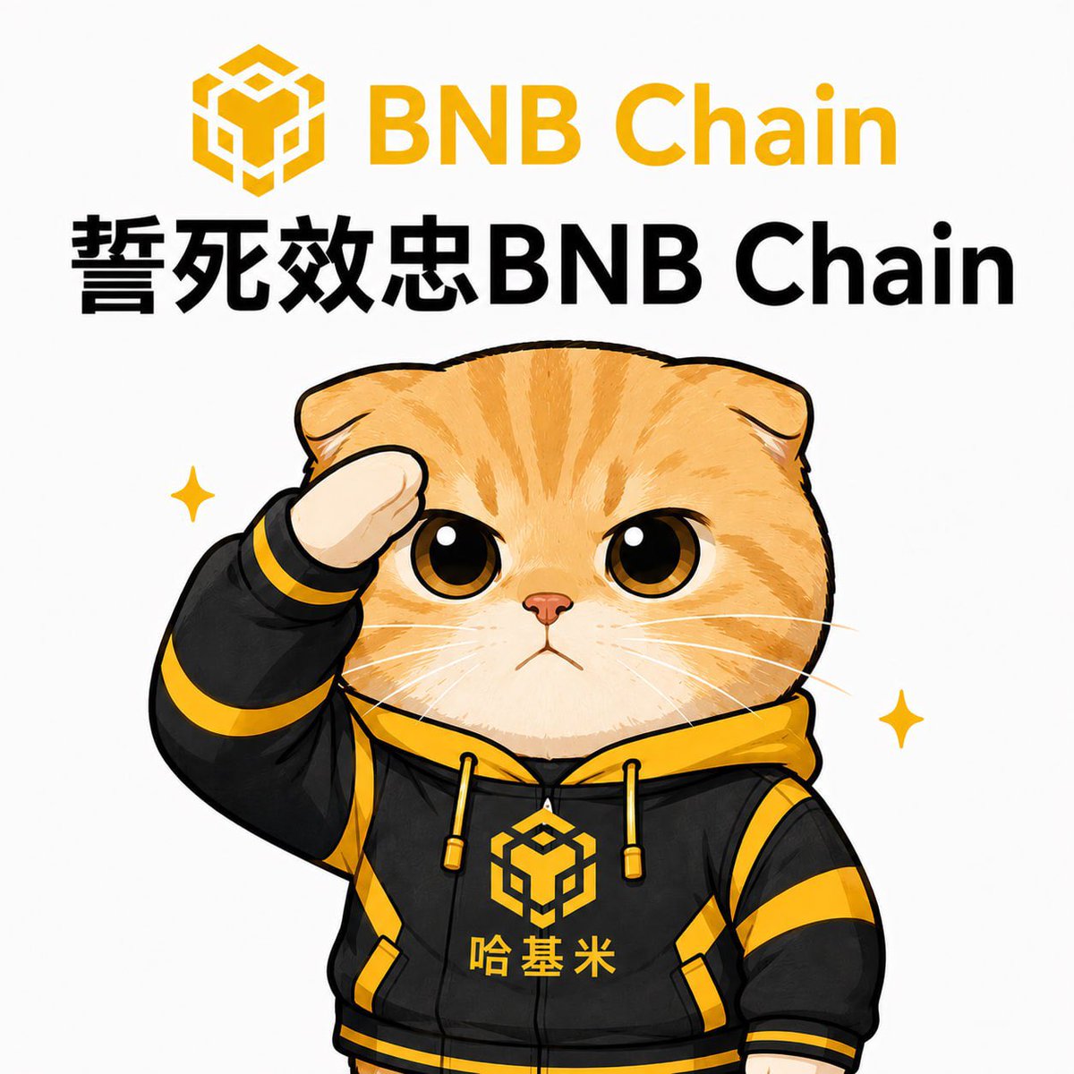 Hajimisoft's tweet photo. @Binance_intern https://t.co/XlSzY0l1we