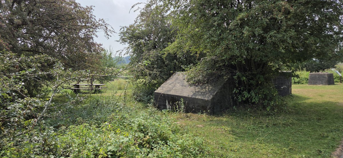 freddenhertog's tweet photo. Elden Meinerswijk https://t.co/F2p88DHGQr