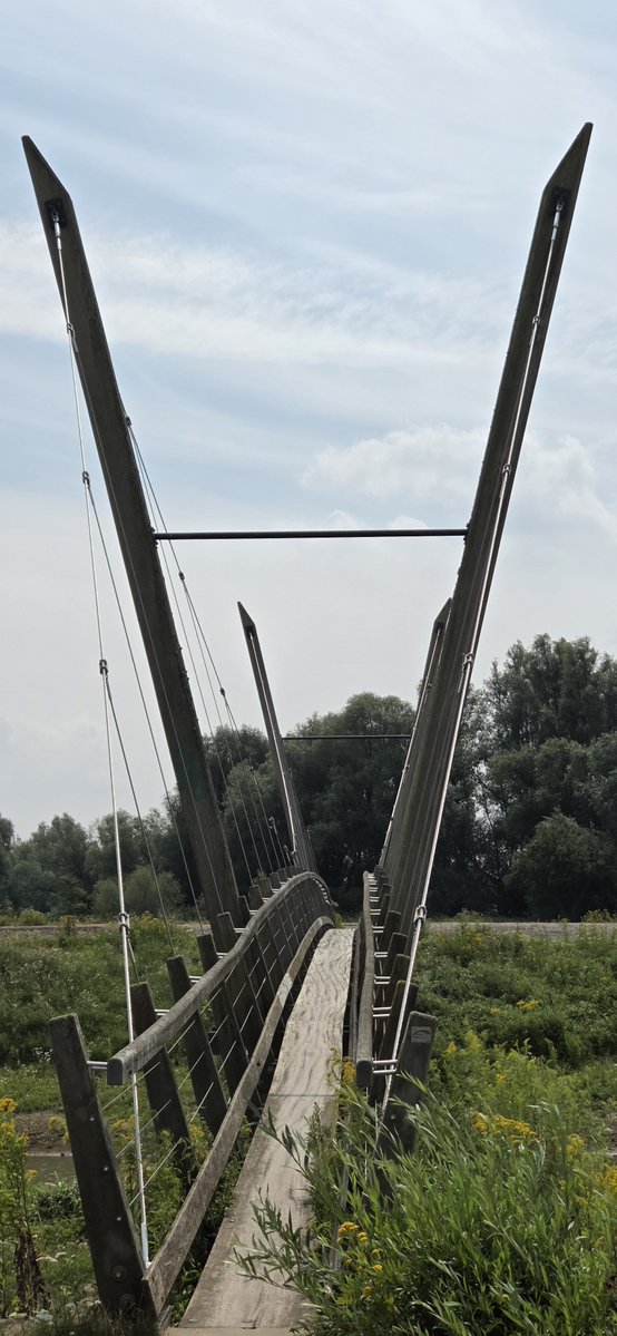 freddenhertog's tweet photo. Elden Meinerswijk https://t.co/F2p88DHGQr
