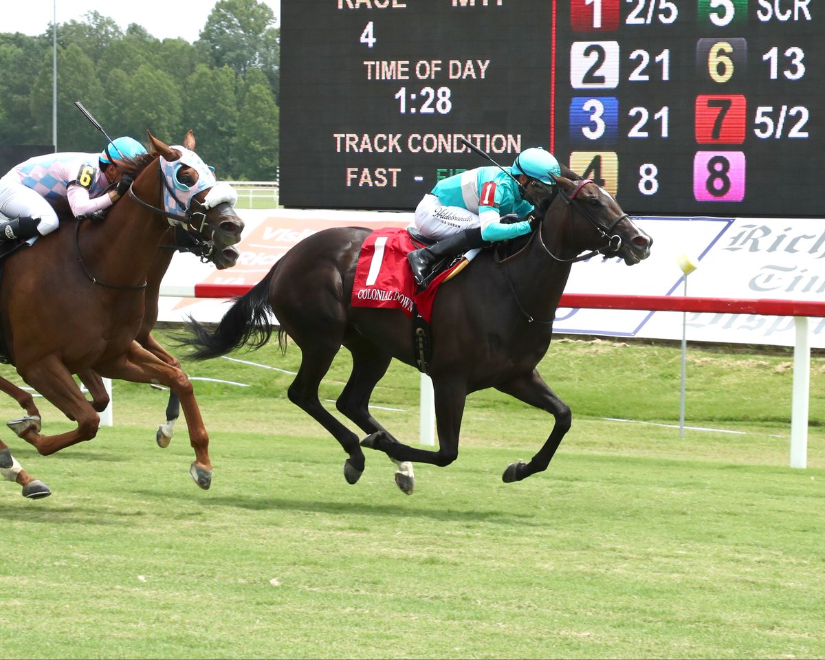 Herringswell Stables tweet media