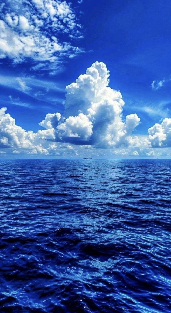 BlueSoulImMe's tweet photo. بعض الأرواح تشبه اللون الأزرق…
هادئة، نادرة، وكلما اقتربت منها اكتشفت جمالًا لا ينتهي. 💙💙💙 https://t.co/7YKi28PByg