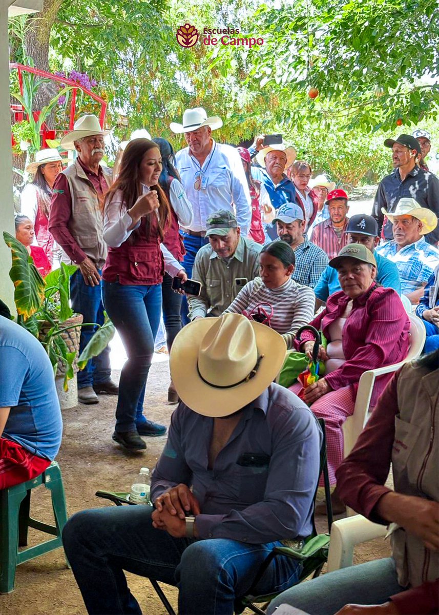 escuelasdecampo's tweet photo. El campo florece cuando el diálogo se convierte en acción. En Nicolás Bravo, #Durango, la Mtra. Yulia Valeria Guzmán Espinoza (@YouleeGuzman) sostuvo un encuentro con productoras y productores para escuchar de primera mano sus experiencias, fortalecer el trabajo colectivo y seguir construyendo soluciones desde el territorio. 🚜👩‍🌾👨‍🌾