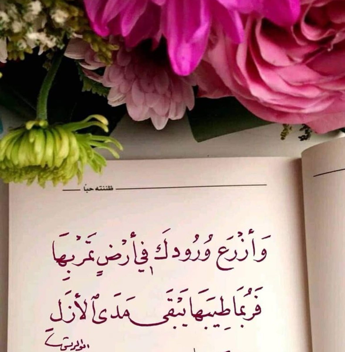 Alweesam2009's tweet photo. 🌺

"وازرع ورودك في أرضٍ تمرُّ بها
فرُبما طيبها يبقى مدى الأزلِ

وربما لُطفها يأتيك في عبقٍ
إن زرتها برهةً يوماً على عجلِ

فازرعْ من الخير تحصد منه أجمله
فالخير يُزهر بالمعروف إن تَسَلِ

وَرُبَّ أمرٍ مضى ما كُنت تحسبه
تأتيك أسراره في أجمل الحُللِ" https://t.co/pTUX0Lc9r7