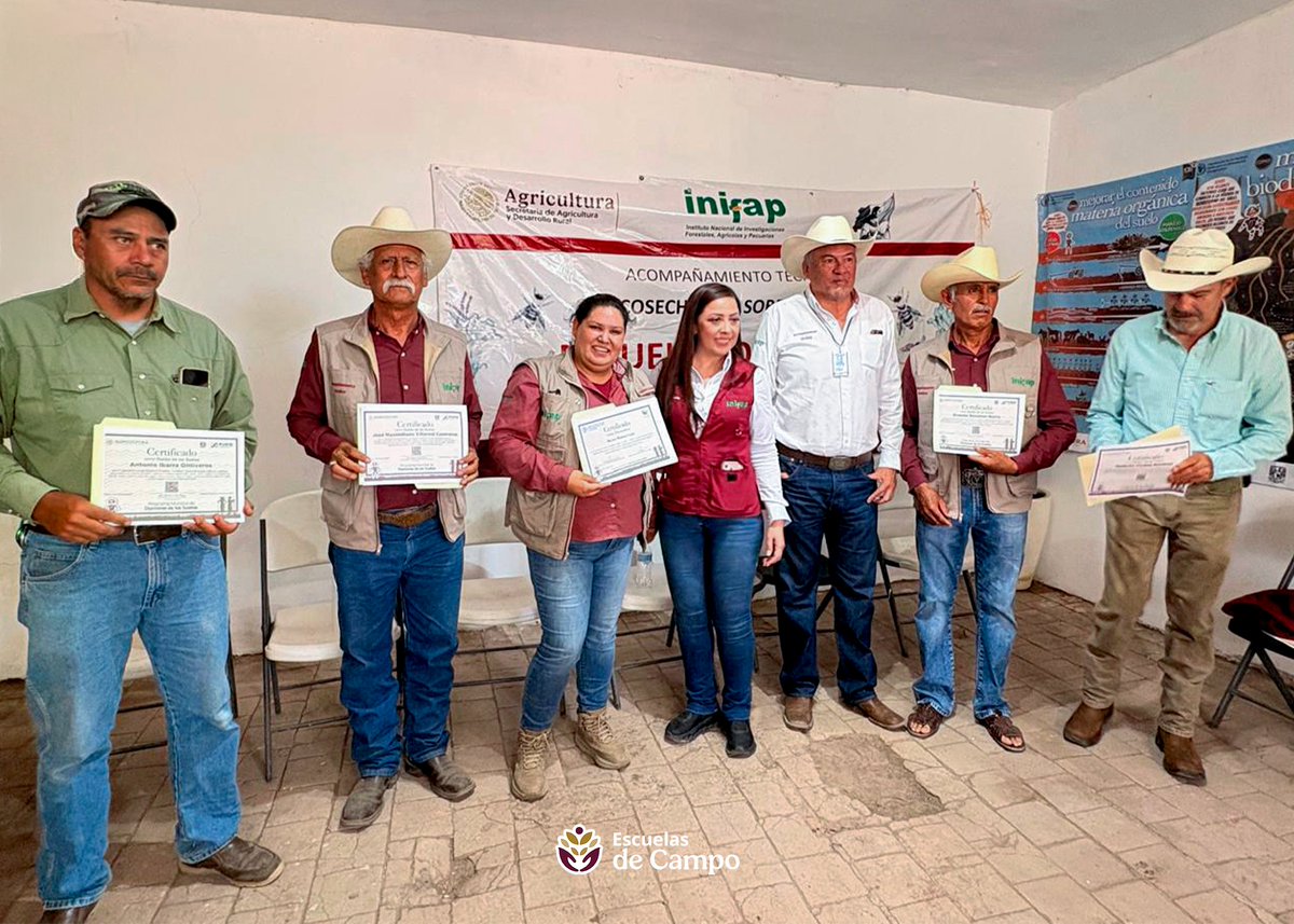 escuelasdecampo's tweet photo. El campo florece cuando el diálogo se convierte en acción. En Nicolás Bravo, #Durango, la Mtra. Yulia Valeria Guzmán Espinoza (@YouleeGuzman) sostuvo un encuentro con productoras y productores para escuchar de primera mano sus experiencias, fortalecer el trabajo colectivo y seguir construyendo soluciones desde el territorio. 🚜👩‍🌾👨‍🌾