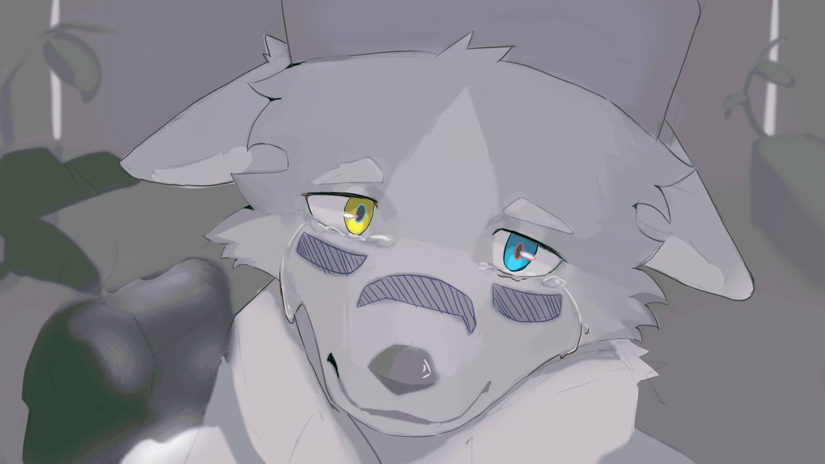 Linkermact's tweet photo. Cry for what…？ https://t.co/7hriGXwIrn