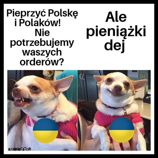 🅰️rcy Łobuz 🅿️olski 🇵🇱 , 🇳🇱 tweet media
