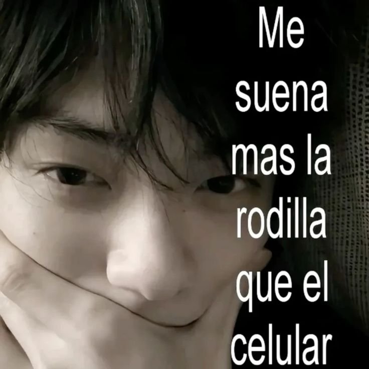 lily_vylvet's tweet photo. yo ayer https://t.co/y8jiuEdSfy