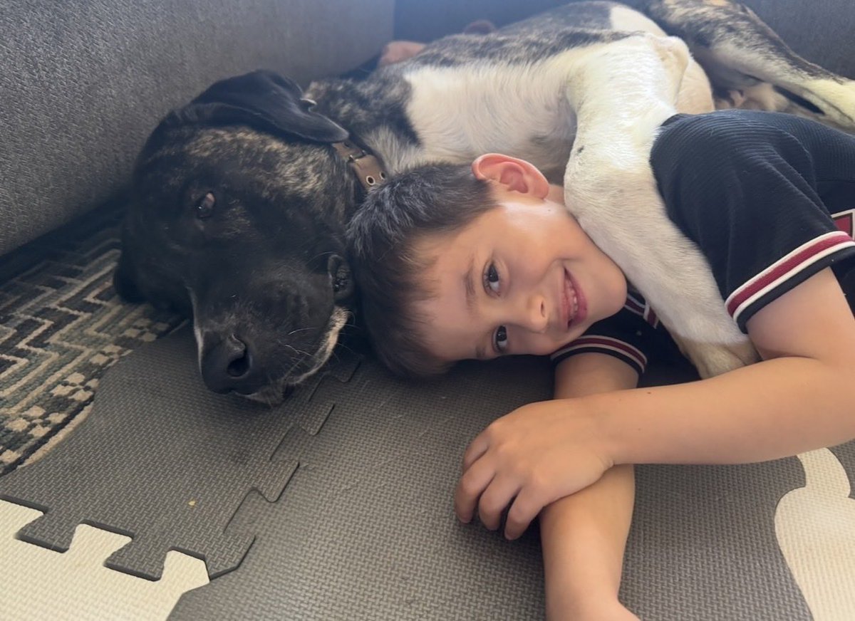 JenniferEvn22's tweet photo. My son and Snuggles loved to cuddle. My son said he would make him feel better if he was sad. Snuggles had that effect on all of us. He’s a special boy and made us all feel better when sad or stressed. For almost 10 months my son has missed having someone to comfort him https://t.co/DhBy3Vv8Vf