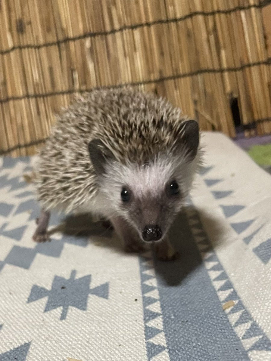 もーにん🌤️☺️🍞