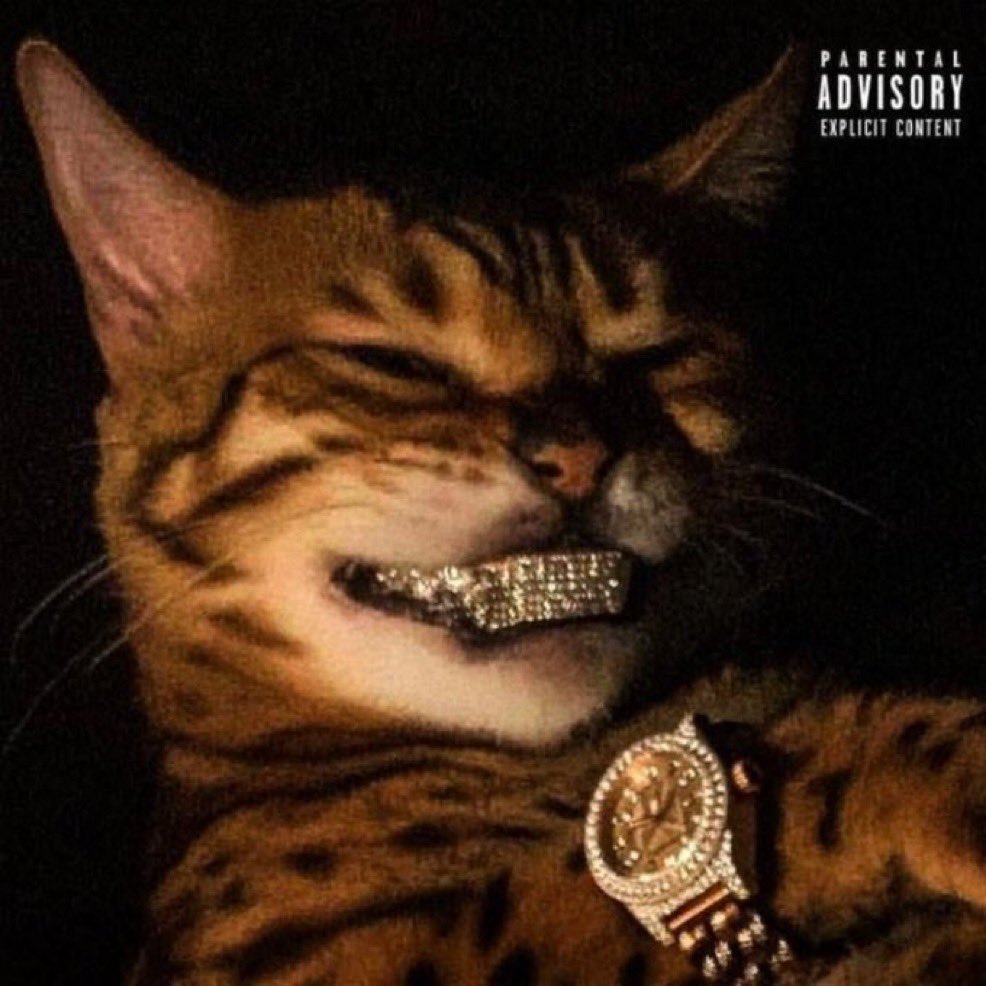 mannyvra's tweet photo. @mieharper01 ITS AT 30MC NOW 😺😺😺😺 https://t.co/tu5pfxNupz