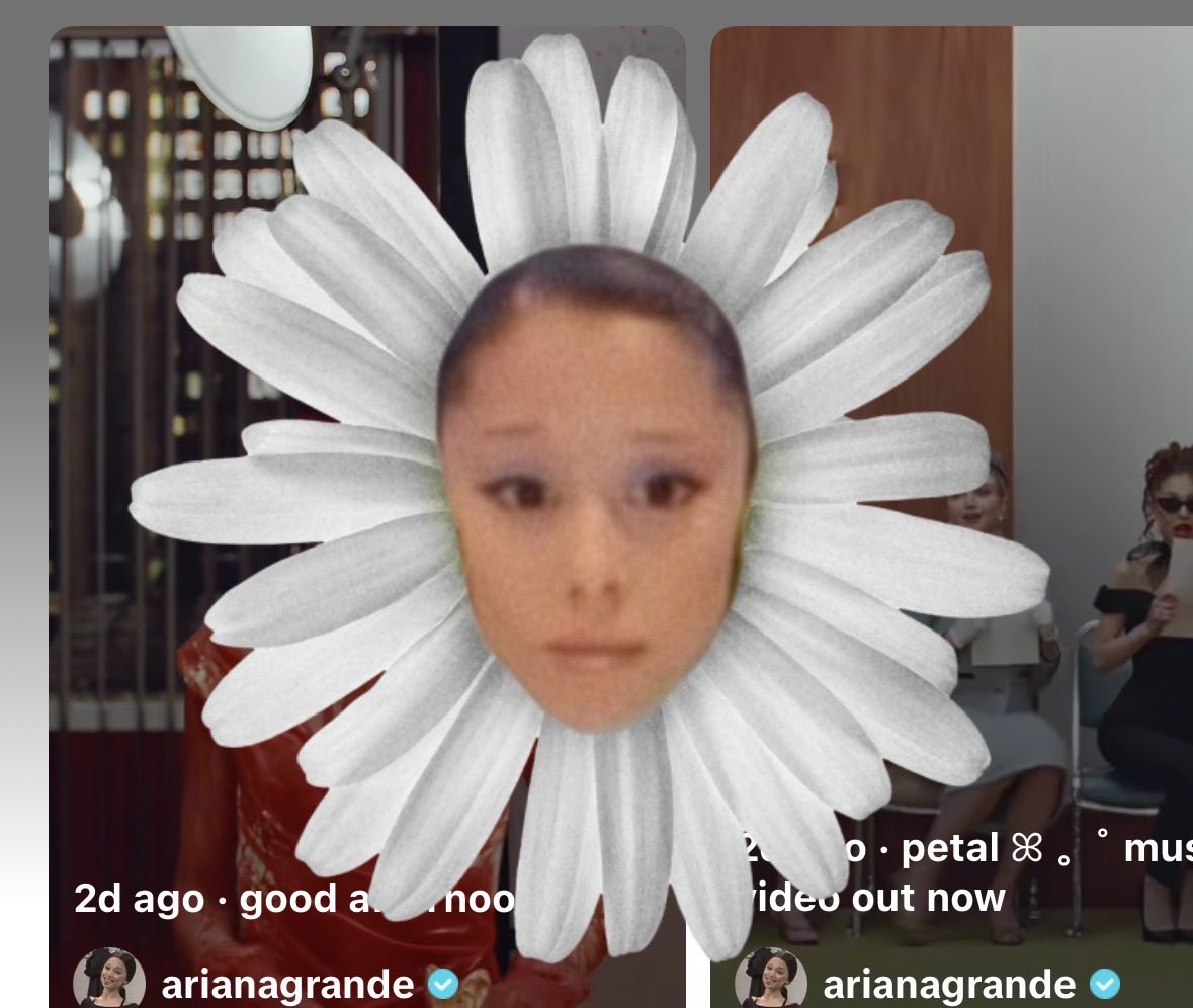 daishatesboston's tweet photo. ari as a flower keeps giving me heart palpitations x

#ariana #petal https://t.co/9jd8ww9RkF
