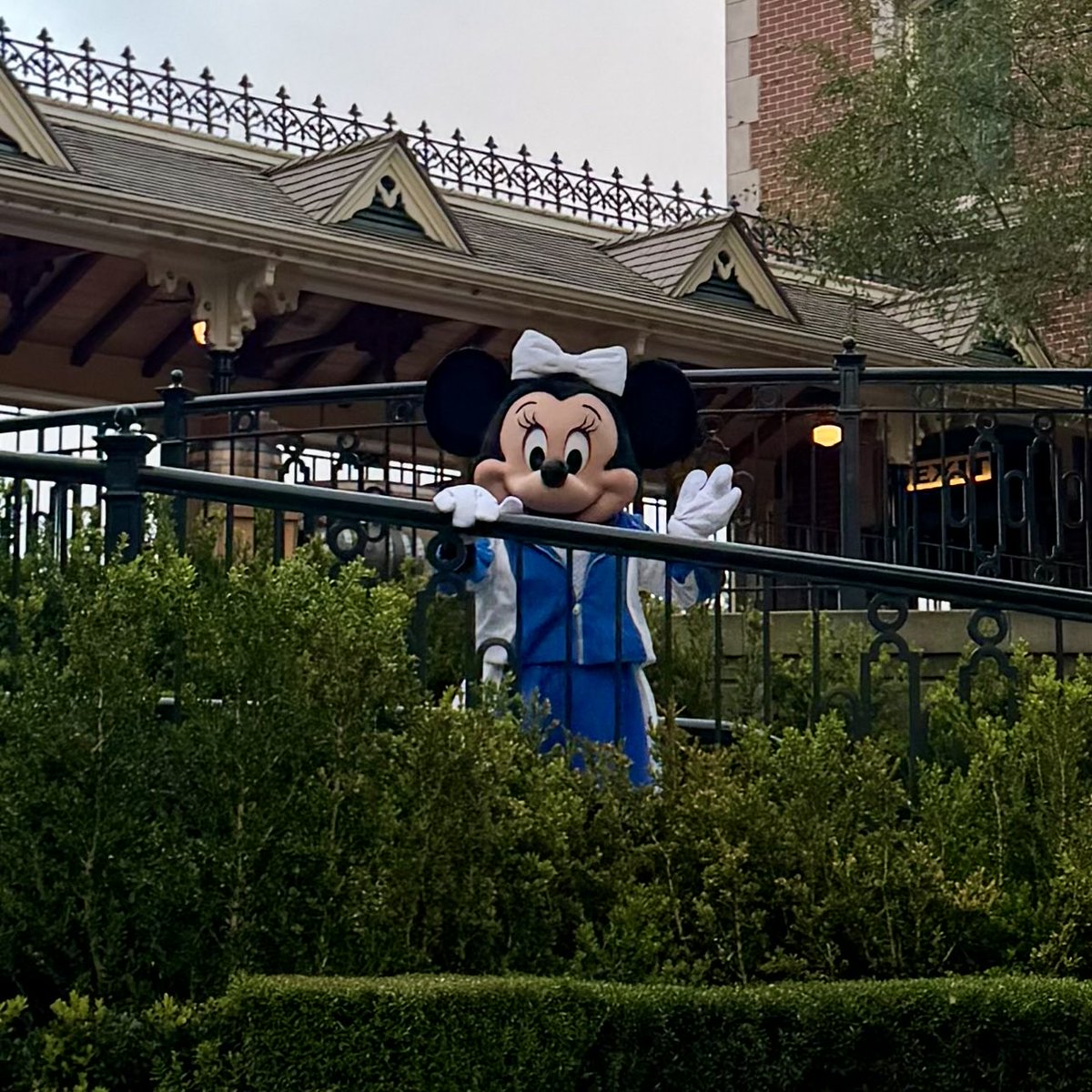 DAPs_Magic's tweet photo. With an encouraging wave from Minnie Mouse, we prepare to make our way across the esplanade.
#CHOCWalk
#dapsmagic https://t.co/fLShFfhxWC
