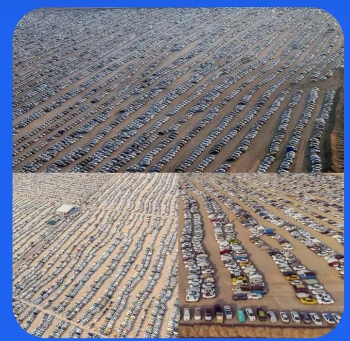 barana4154's tweet photo. تعداد ماشین ها از تعداد تجمعات مونیخ که با اتوبوس رایگان برده بودنشون بیشتره تازه اونم تویک مرز و بخشی از یک مرز .
 #یا_لثارات_الحسین
#اربعین_حماسی https://t.co/syAf43qAAZ