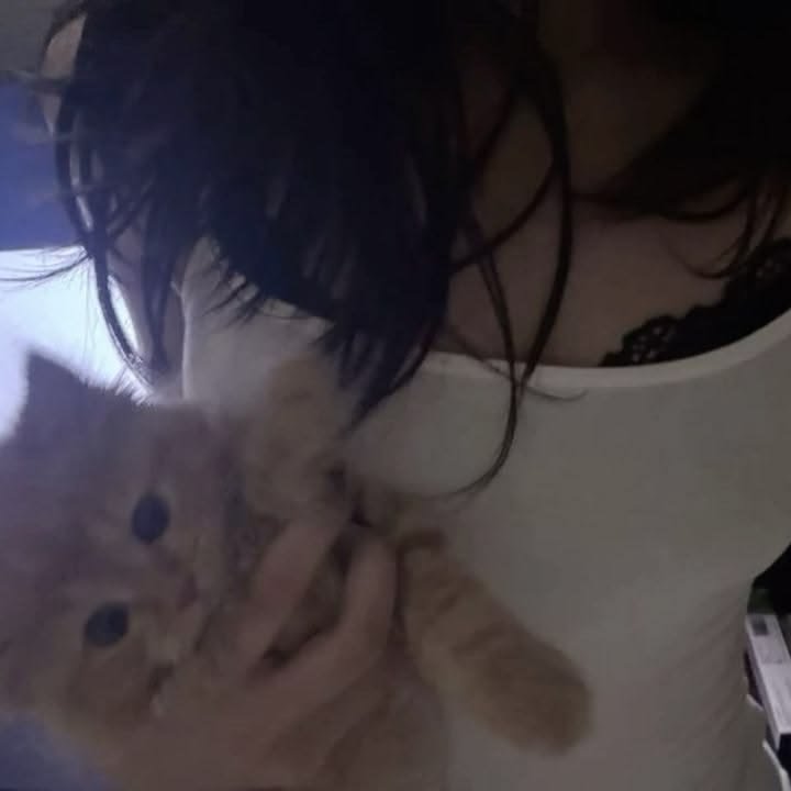 hakkiegyyu's tweet photo. Cómo te ve pinterest + los mutis que quieran hacerlo
(name) core + cat + álbum + drink (acaso ella salió de un fanfic?) https://t.co/wrJ1WAlXC1