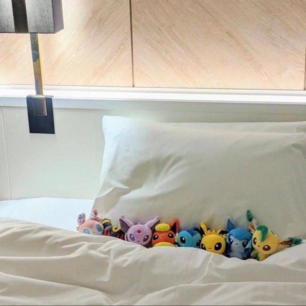 Pokemonpshot's tweet photo. It’s bedtime 💤 https://t.co/2pnCkoHbXG