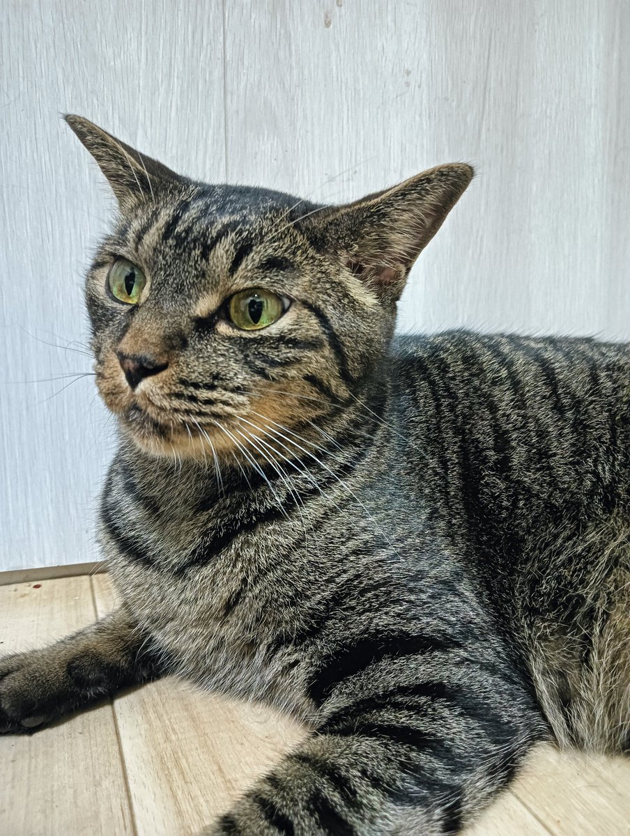lcktIJTF0Q0WHVi's tweet photo. おはようござんす😻 https://t.co/zdITDsN0aF