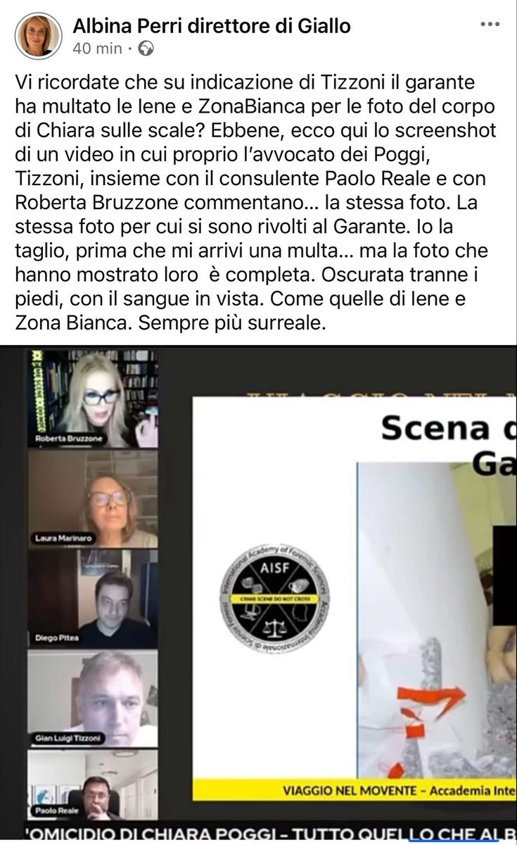 SettGiallo tweet picture