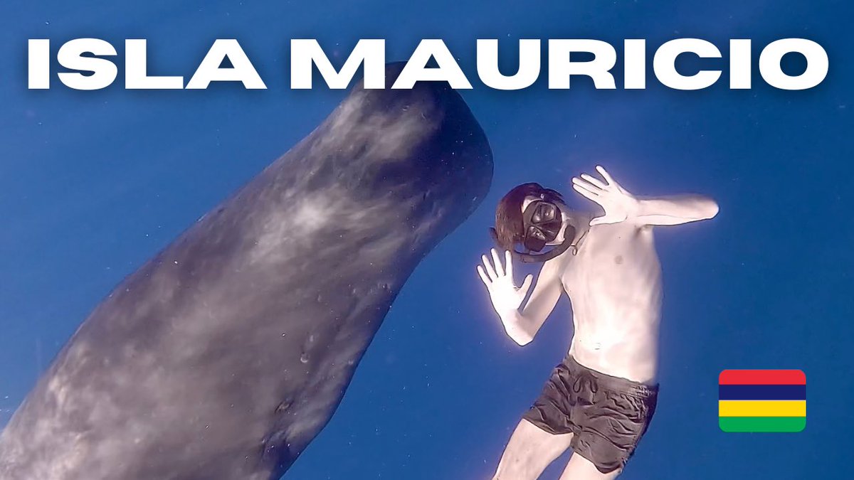 martintena__'s tweet photo. nuevo vídeooo ✨

nadando con ballenas, go watch it! 🫰🏼

https://t.co/EMQGwZ4K4v https://t.co/wUyLIR3oGf