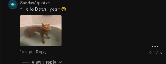 aprill2026's tweet photo. I think i found the only tiktok meme more viral than James dougherty  
Right now people are joining Dean withers streams in a bath tub while debating him it's the funnist thing ever

All the comments are meming Dean about the contesitants being in bathtubs 

People are even coming up to him IRL and calling him the bathguy😭

There are so many vids just check it for your self  
https://t.co/Jgvc1Z4HLk
