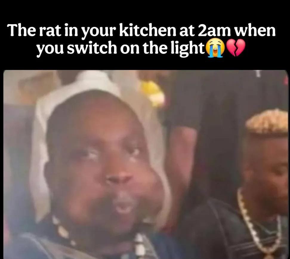hahaXhub's tweet photo. The rat in your kitchen at 2am when you switch on the light
😭💔
#meme#funny#memesdaily#lol https://t.co/0m85ucMDbh