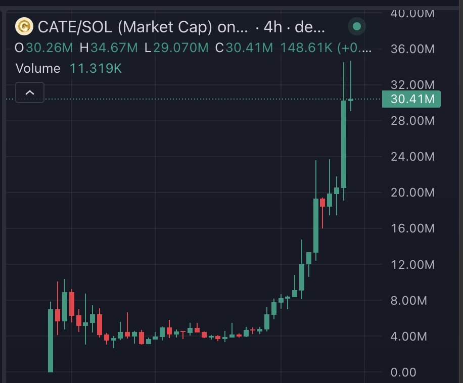 YogiDyor's tweet photo. I CALLED $CATE AT $350K 

I am officially up 100x 

We are going so much higher! https://t.co/y2WCl9FVul