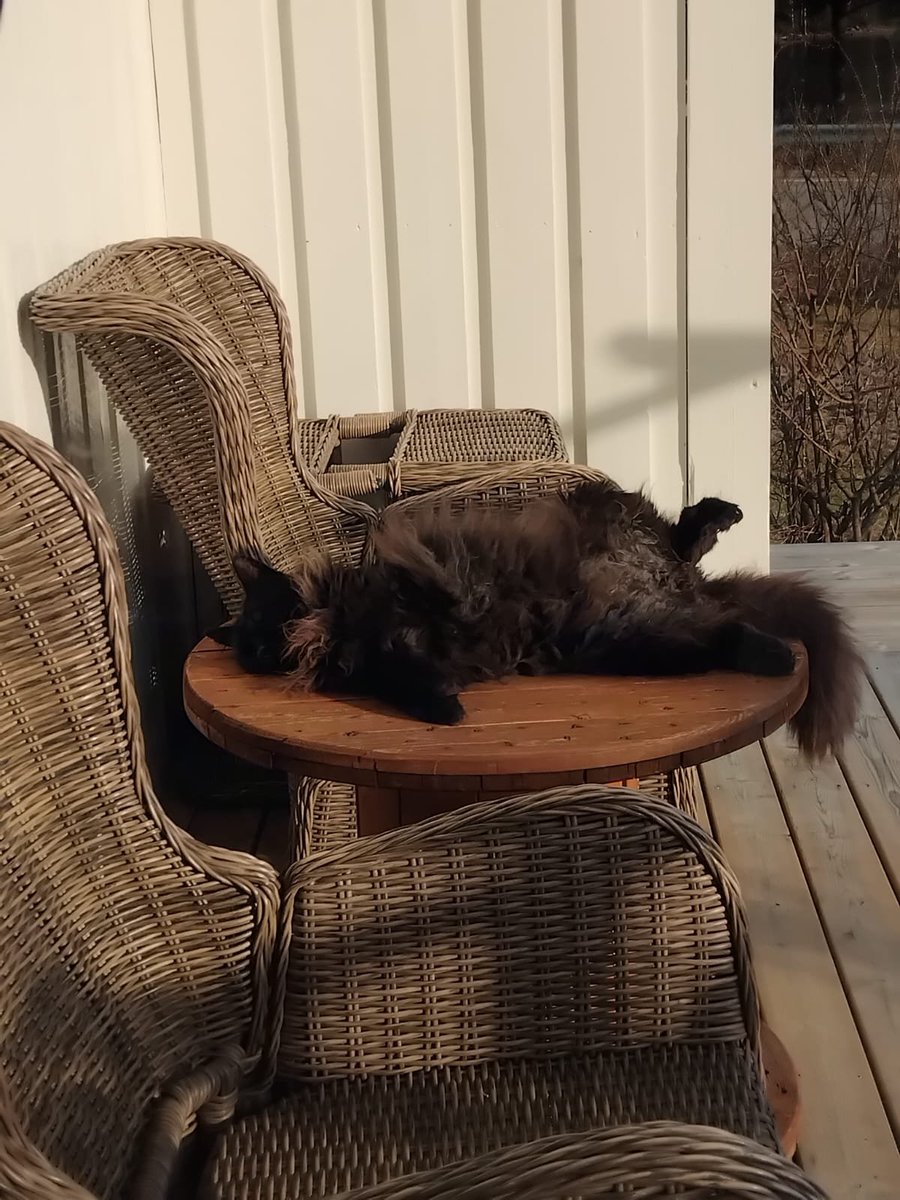 caesar_irl tweet picture